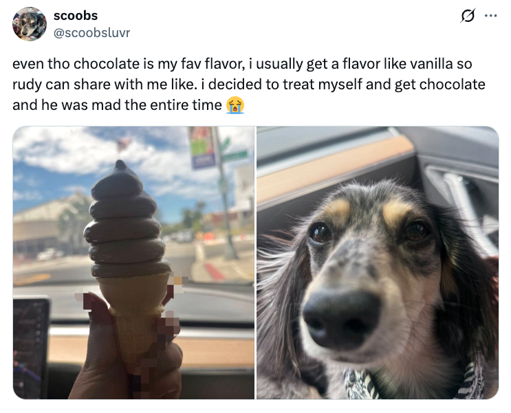 Sebuah tangan memegang es krim coklat di dalam mobil, dan seekor anjing duduk di kursi penumpang sambil memandang ke arah kamera. Teks tentang rasa coklat
