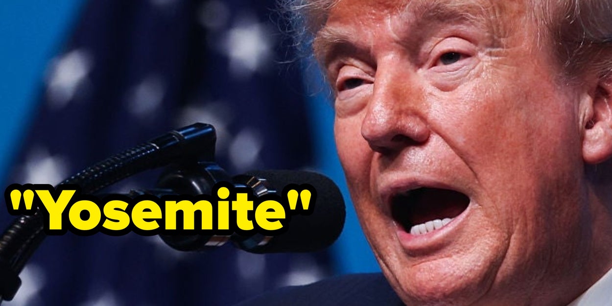 8 Simple Words That Defeated Donald Trump