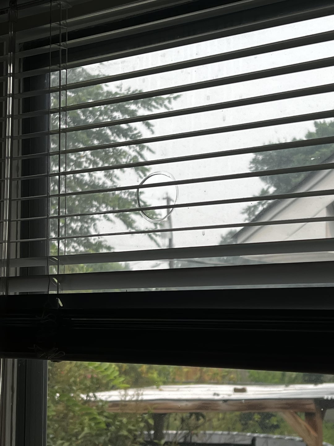 Bubble floating near a window with blinds, visible trees and part of a house in the background