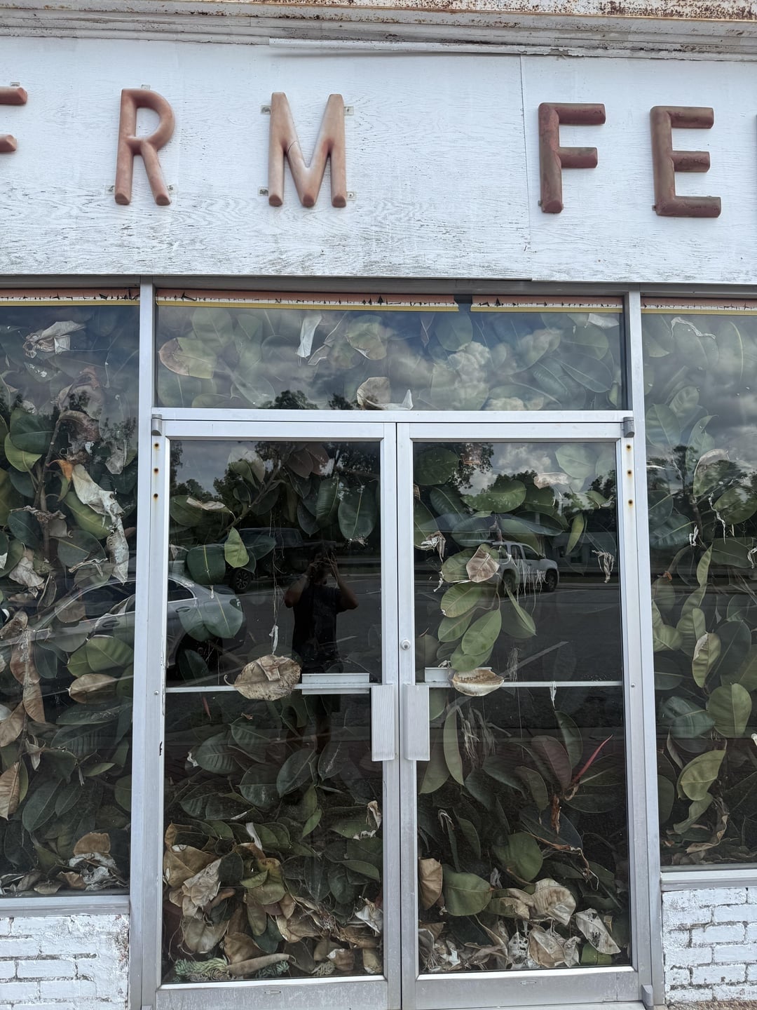 Storefront with large windows covered in leaves, some deteriorating. Partially visible sign above starts with "FRM FE..."