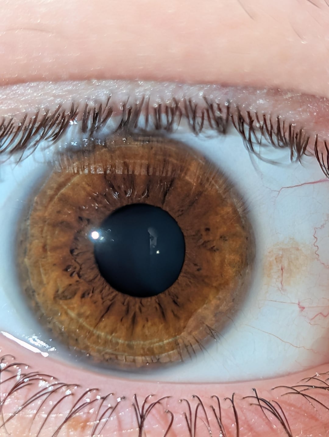 Close-up image of a human eye, focusing on the iris with intricate details and patterns
