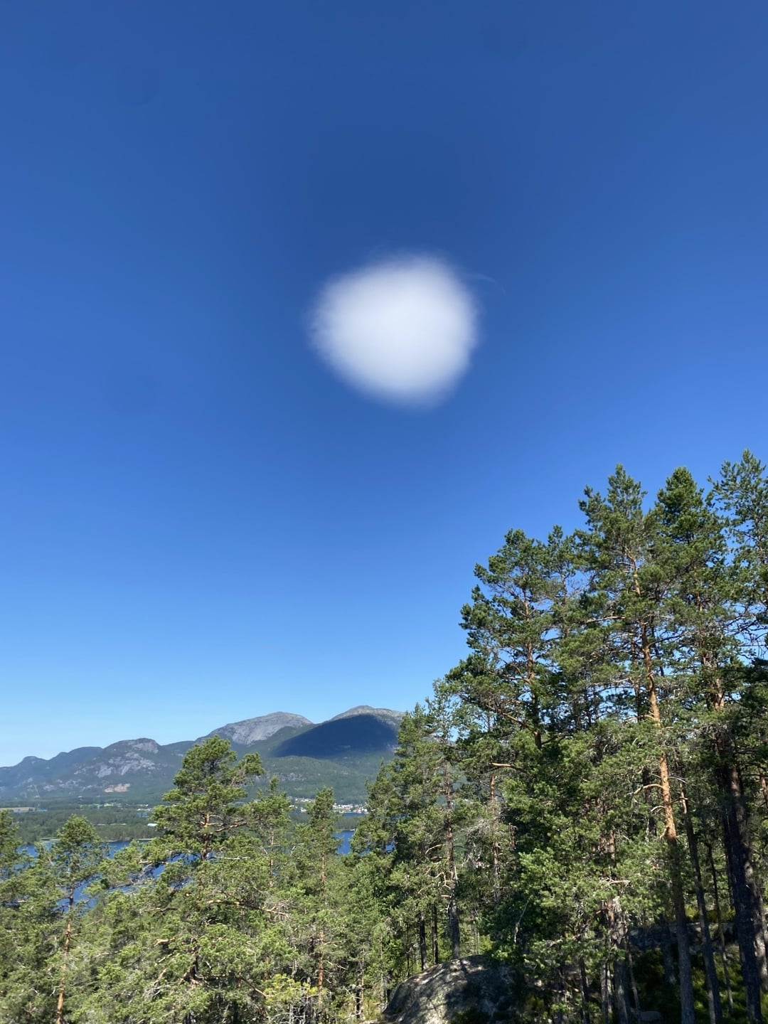 A single cloud floats above a forested landscape with mountains in the distance