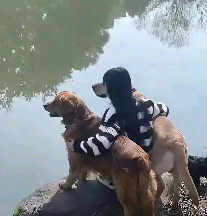 Person sitting on a rock by a lake, embracing two dogs while looking at the water