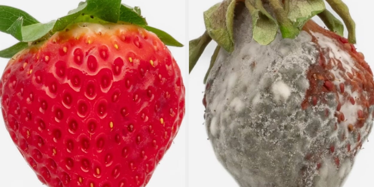 64% Of Adults Can't Tell A Rotten Peach From A Ripe One