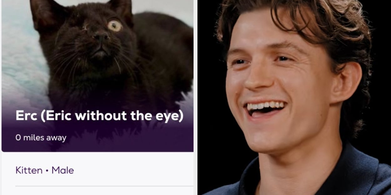 30 Funny Animal Tweets