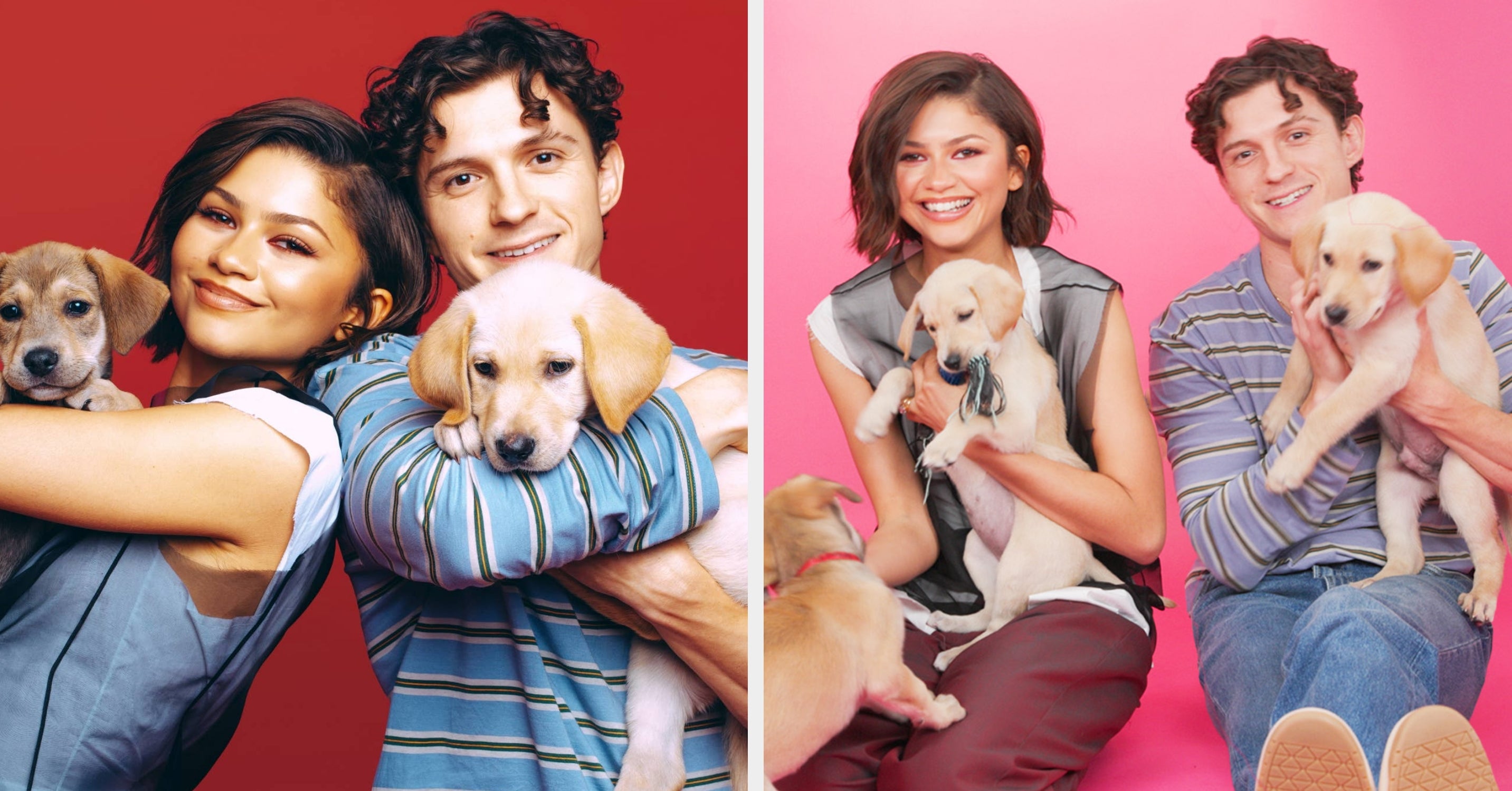 Tom Holland And Zendaya Just Did The Puppy Interview Together — You're Welcome