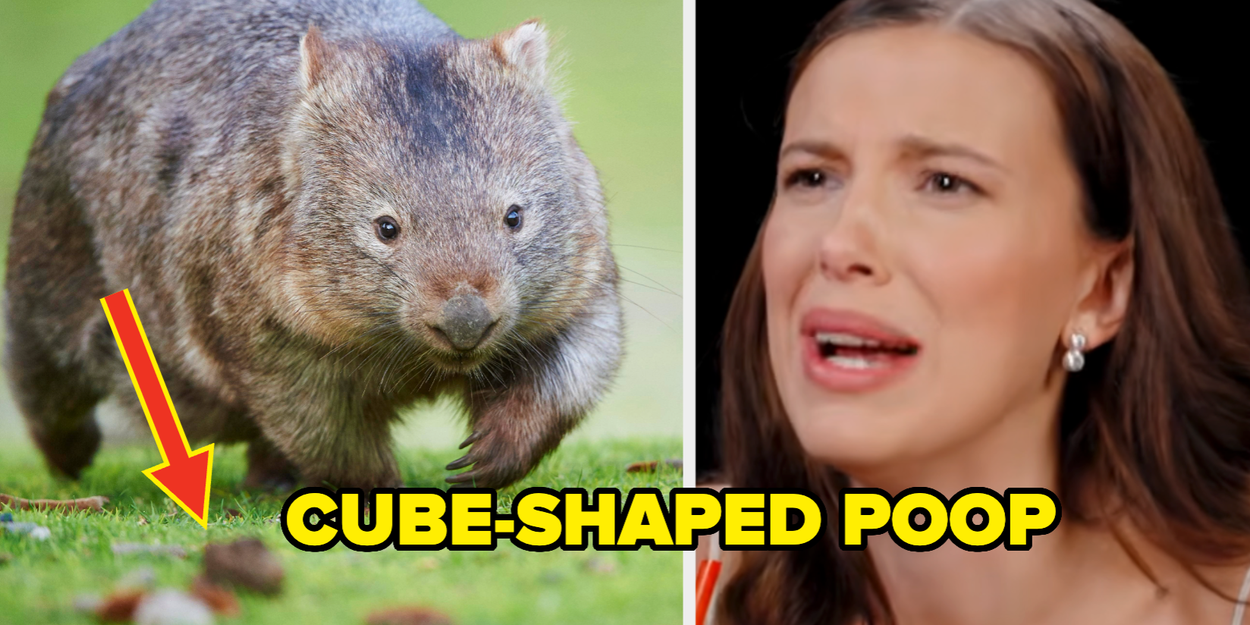 16 Weird Facts That'll Stick In Your Brain Forever