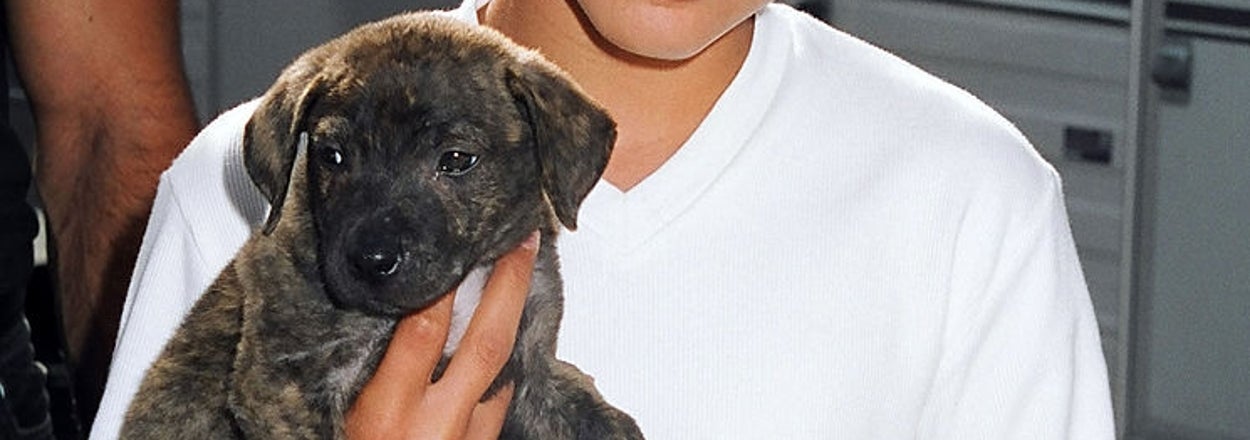 A New Photo Of Jonathan Taylor Thomas Just Dropped Out Of Nowhere, And Millennials Are : 0