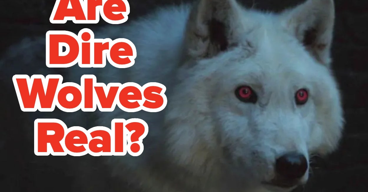 Are These Animals From Movies And TV Shows Real Or Fictional?