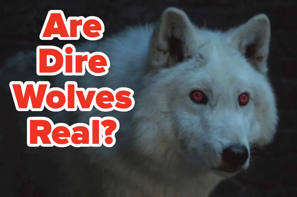 Are These Animals From Movies And TV Shows Real Or Fictional?
