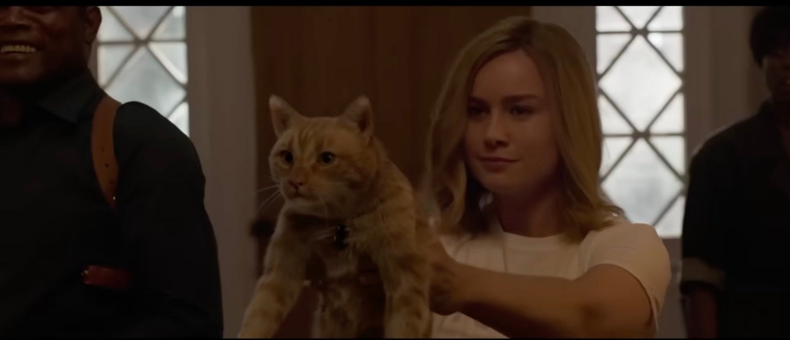 Brie Larson holding a cat in Captain Marvel