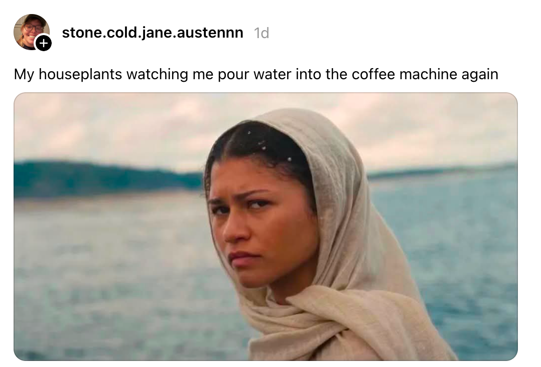 En person pakket inn i et sjal ser ut mot vannet med et uttrykk for bekymring. Bildetekst om potteplanter og kaffemaskin