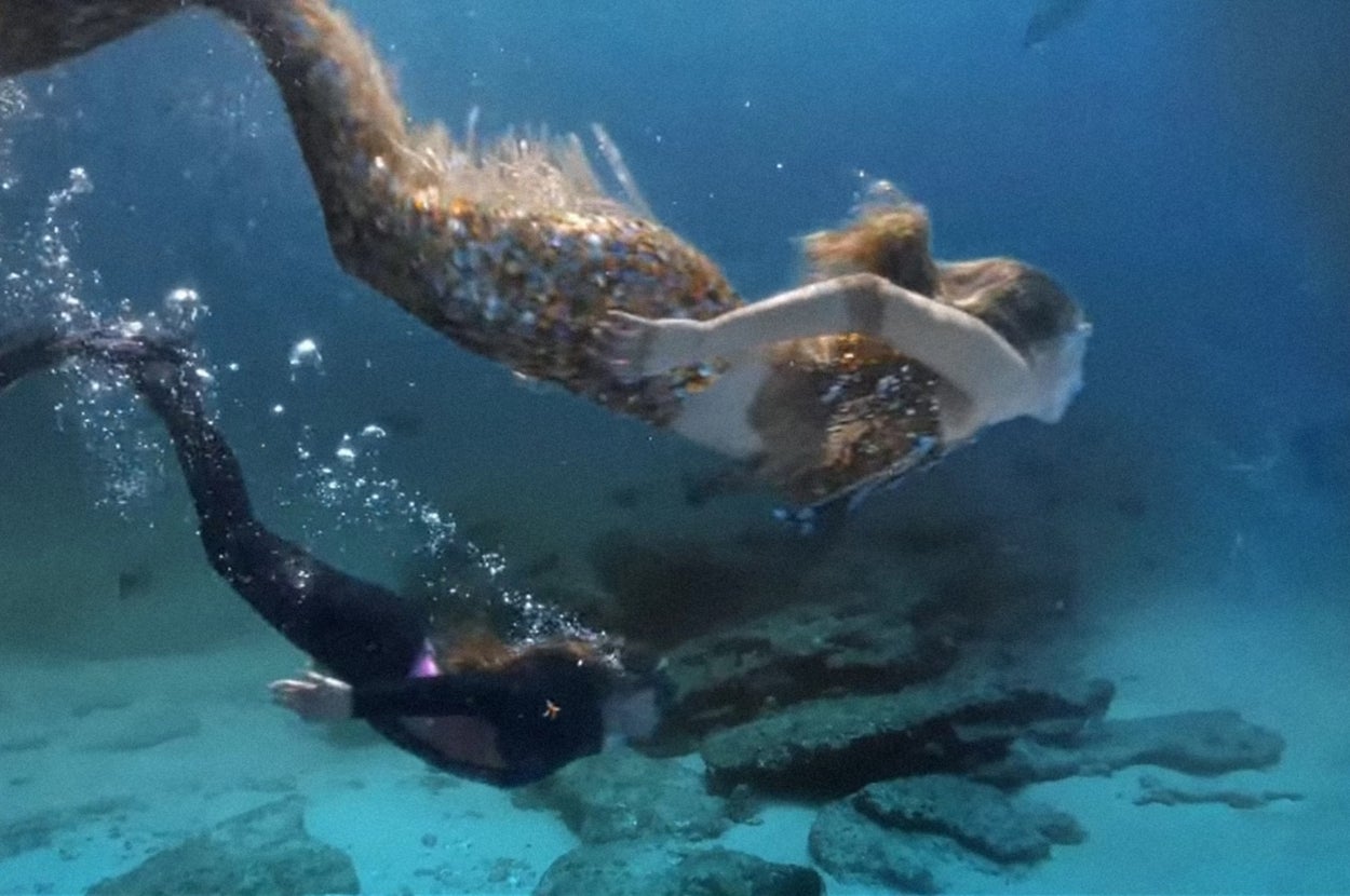 Spend A Day Living Under The Sea And I'll Tell You What Kind Of Mermaid You Are