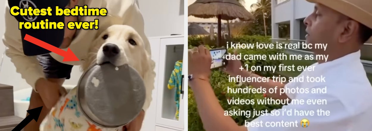 25 Wholesome Internet Posts So Good, You'll Forget Whatever You Were Doomscrolling