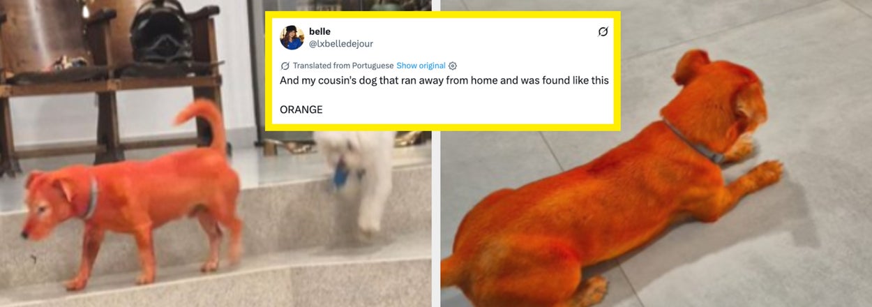 These 39 Fails From Last Week Made Me Laugh So Hard I Spit Water All Over My Keyboard