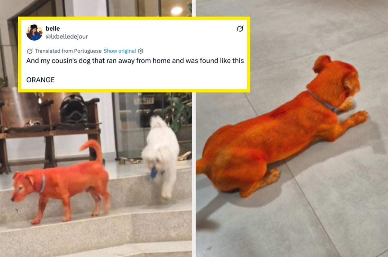 These 39 Fails From Last Week Made Me Laugh So Hard I Spit Water All Over My Keyboard