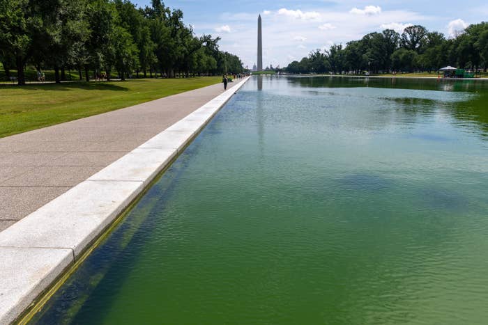 Reflecting Pool and Washington Monument on a sunny day, with trees lining the walkway, in Washington D.C