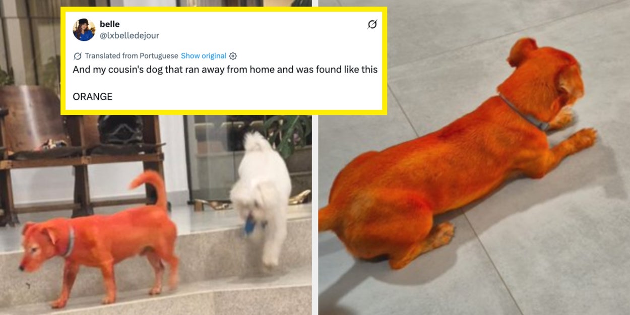 39 Hilarious Internet Fails From Last Week