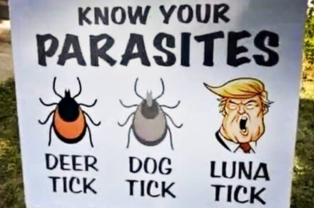 41 Hilarious Signs From Last Month That Went Completely Unnoticed While You Were Overthinking That Awkward Moment From 2023