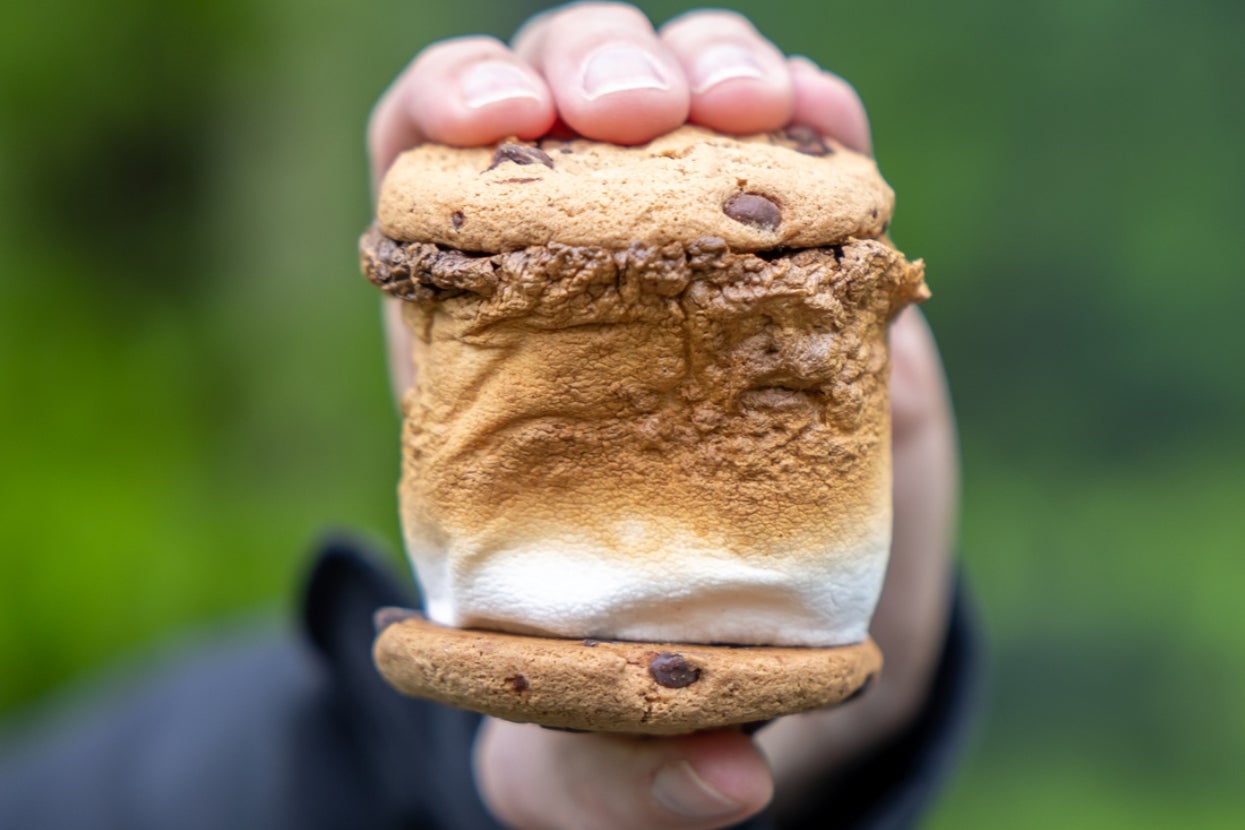 EVERYONE Embodies One Of These 12 Summer Animals — Build A Multilayer S'more That You'll Never Forget, And I'll Pair You To Yours