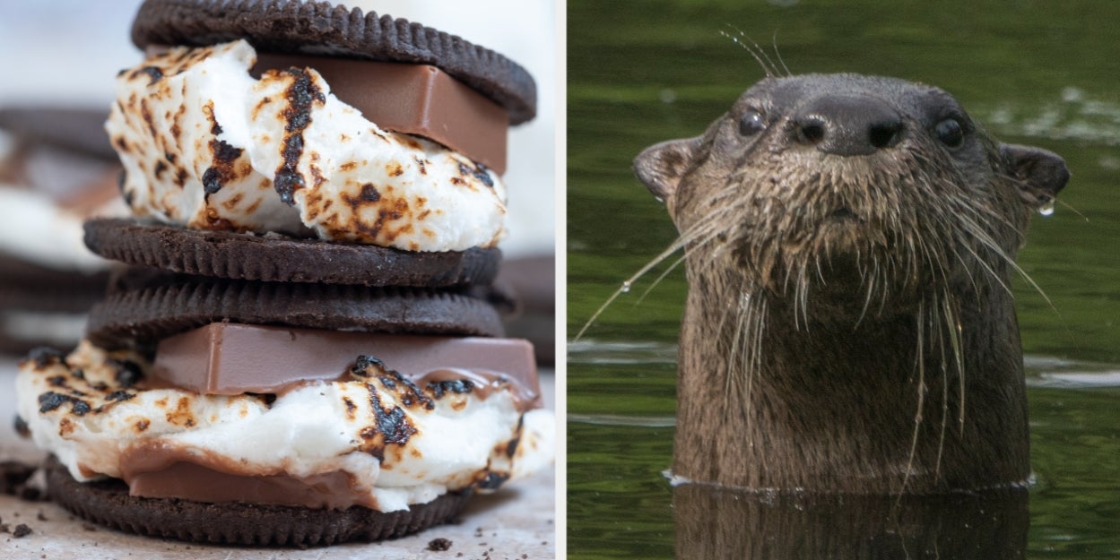 Make The Most Extra S'more You Can Imagine And We'll Reveal Your Inner Summer Animal