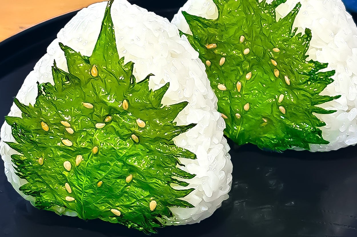 おにぎり2個が皿にのせられている。