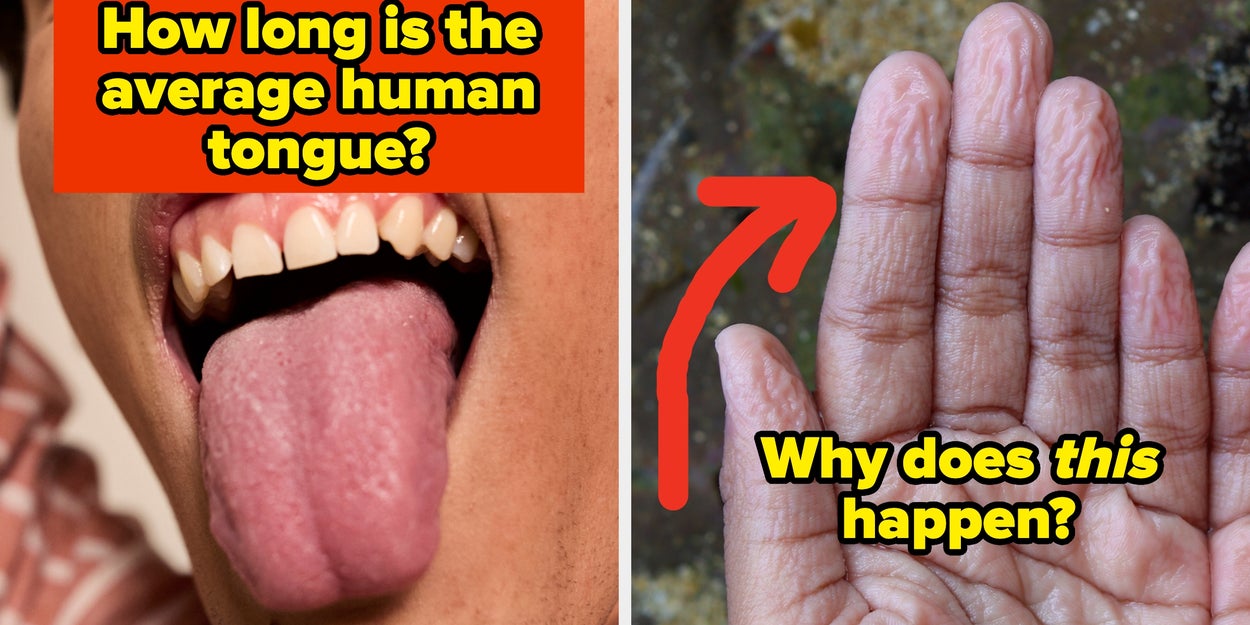 Only 1% Of People Know These Strange Human Body Facts — Let’s See How You Do