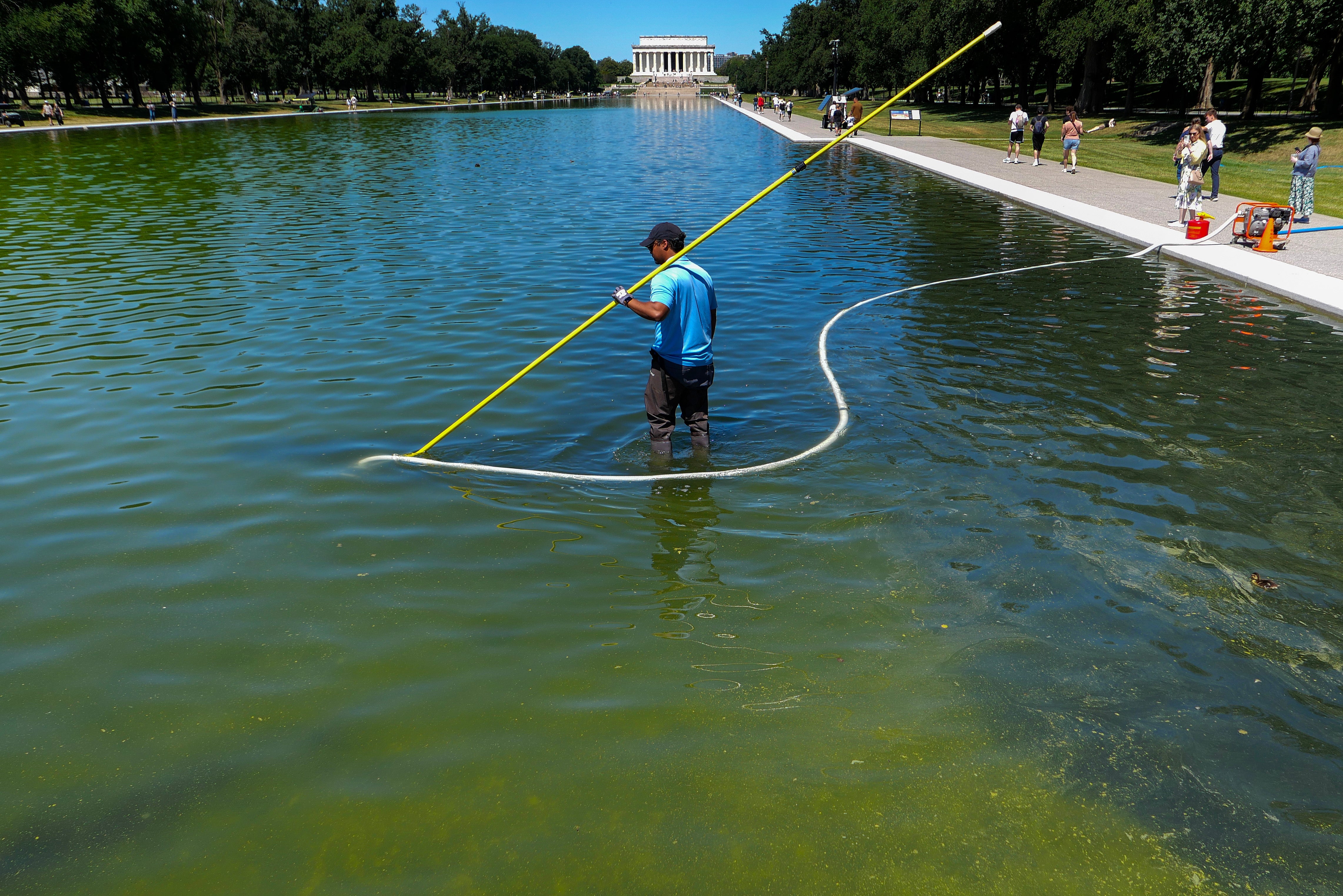 En person står i et reflekterende basseng og bruker et langt verktøy for å rense vannet, med Lincoln Memorial synlig i bakgrunnen