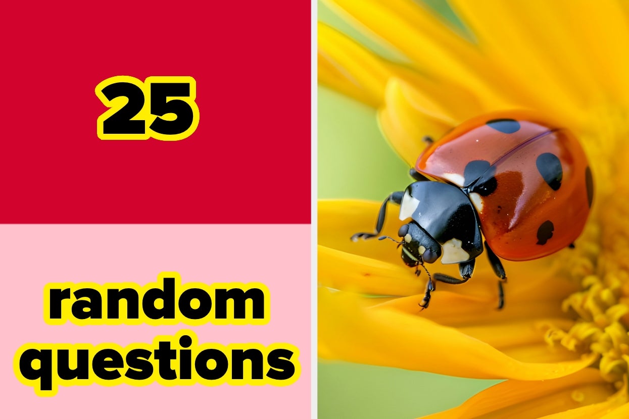 Split image: Left side shows "25 random questions" text; right side features a ladybug on a flower petal