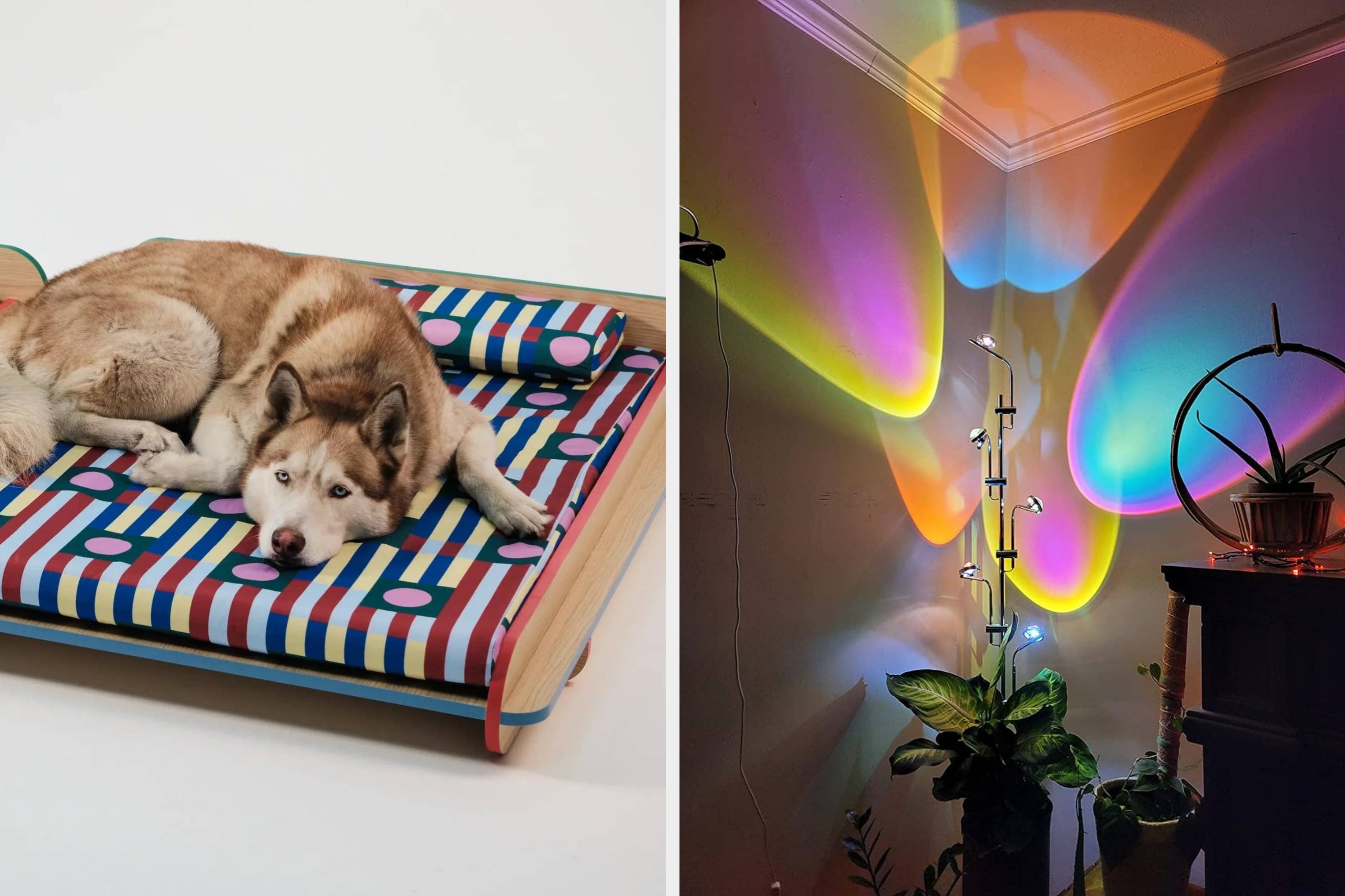 It's Literally My Job To Scour The Internet For Cool Things, And These Are My Favorite Home Finds Of 2026 So Far