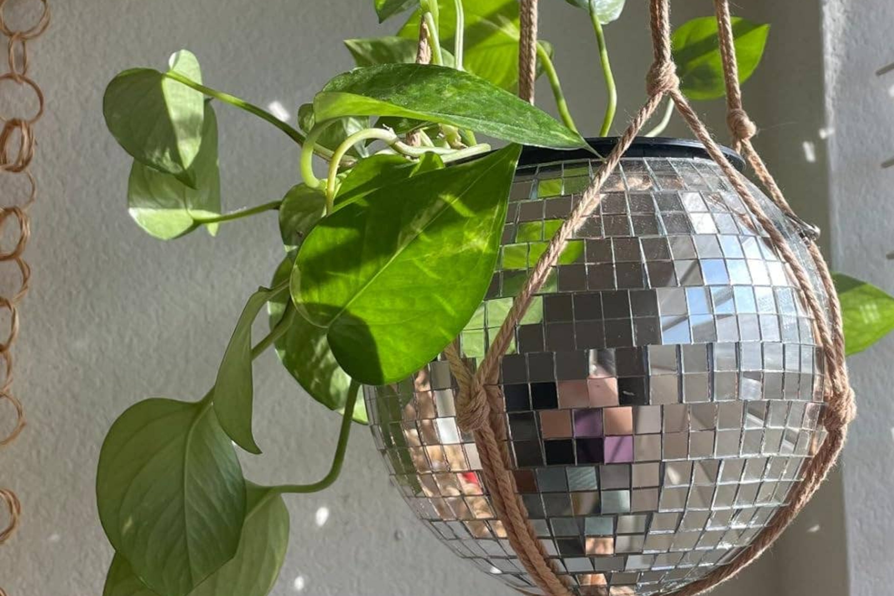 36 Products So Excitingly Amazing, You’ll Get The Human Version Of The Zoomies