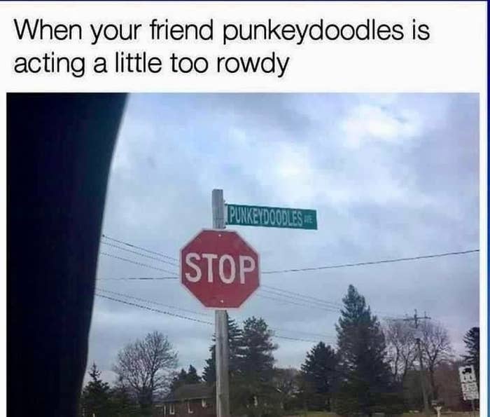 Street sign humor with "Punkeydoodles Ave" next to a stop sign. Caption jokes about a "rowdy" friend named Punkeydoodles