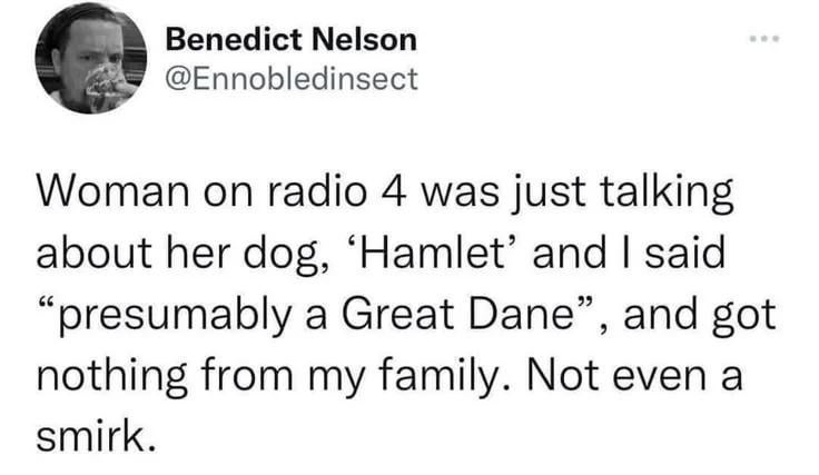 Tweet by Benedict Nelson: A woman on radio talked about her dog named Hamlet. Benedict joked about it being a Great Dane but got no reaction from his family