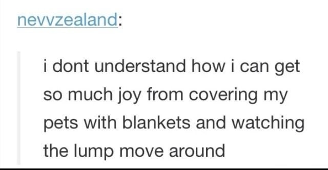 Post humorously describes joy from covering pets with blankets and watching them move as lumps