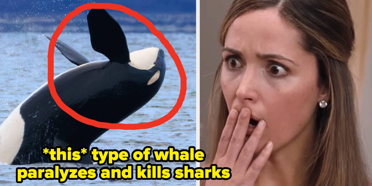 18 Unsettling Animal Facts Textbooks Didn't Tell You