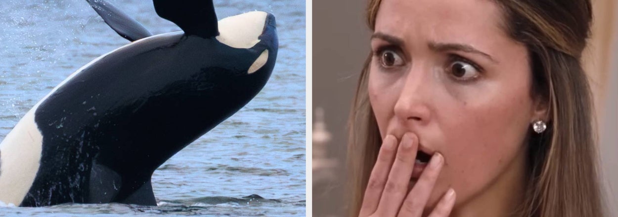 18 Deeply Unsettling Animal Facts That Are So Freaky, It’s No Wonder They Never Ended Up In Your Science Textbooks