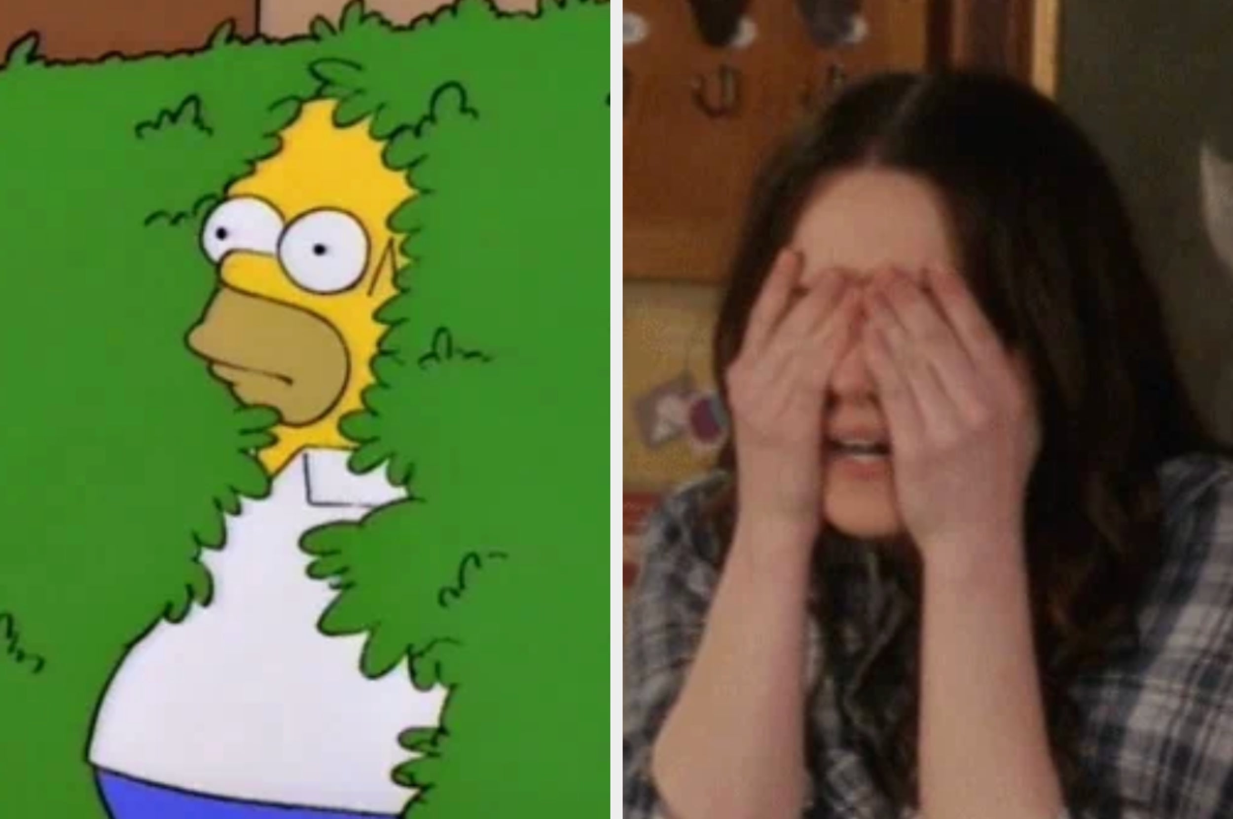 On the left, Homer Simpson backing into a bush, and on the right, Stevie from Schitt's Creek covering her eyes with her hands