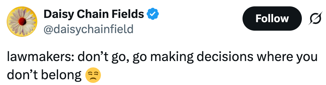 Twitter post by user Daisy Chain Fields: "lawmakers: don’t go, go making decisions where you don’t belong" with a frustrated emoji