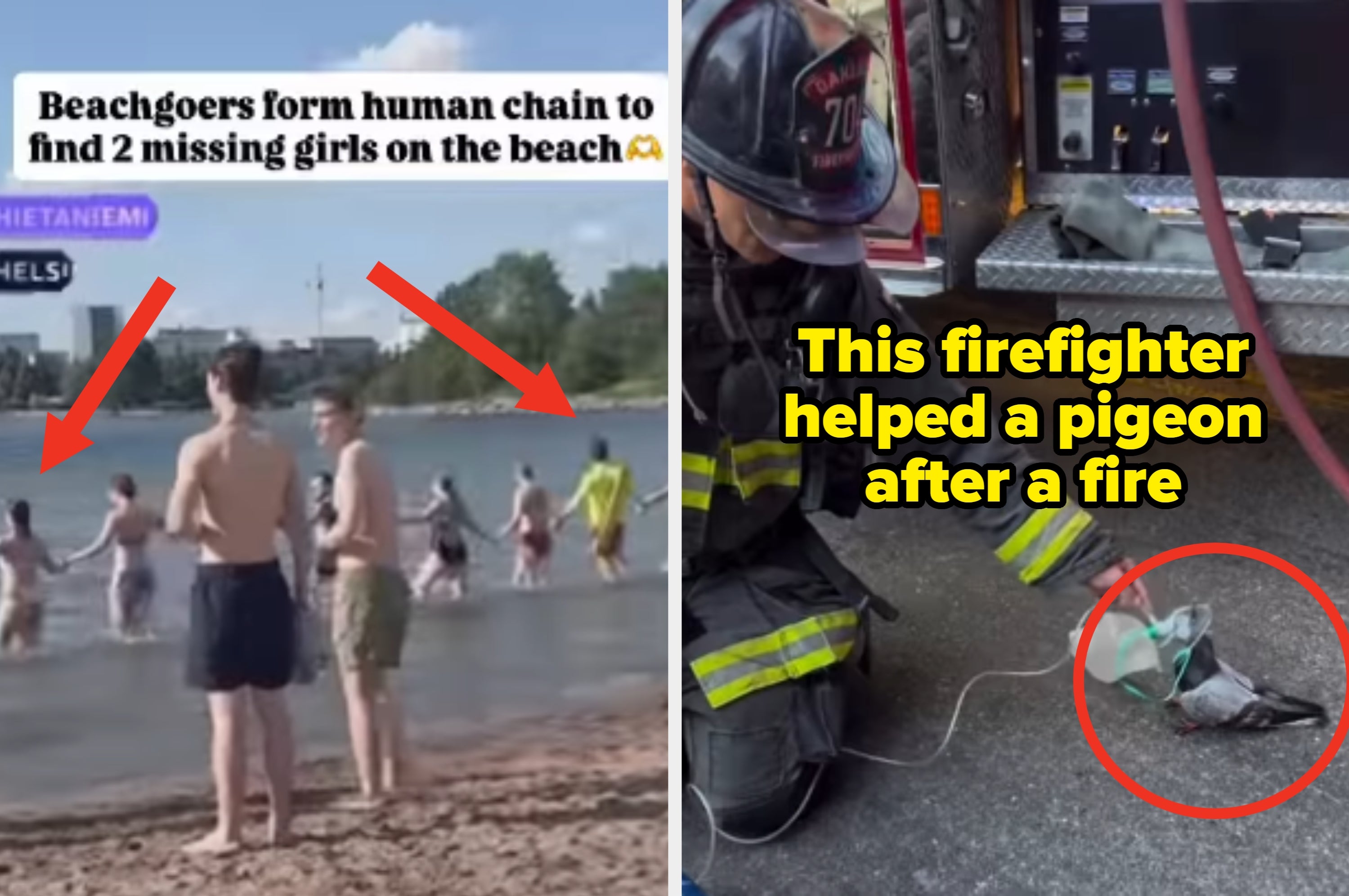Split image: Left shows beachgoers forming a human chain; right shows a firefighter helping a pigeon with oxygen after a fire