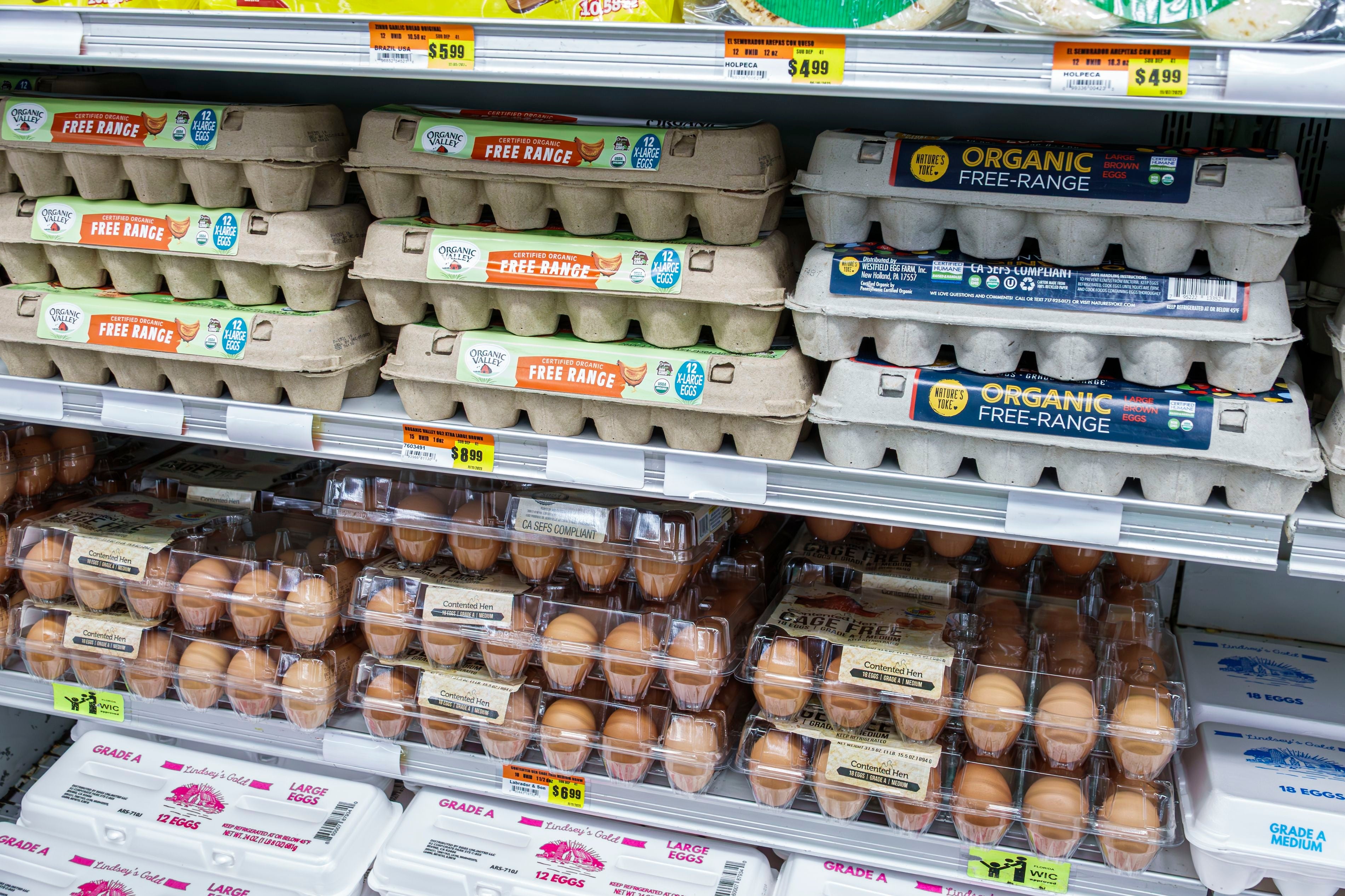 Eggekartonger utstilt i supermarkedshyller, med frittgående og økologiske alternativer