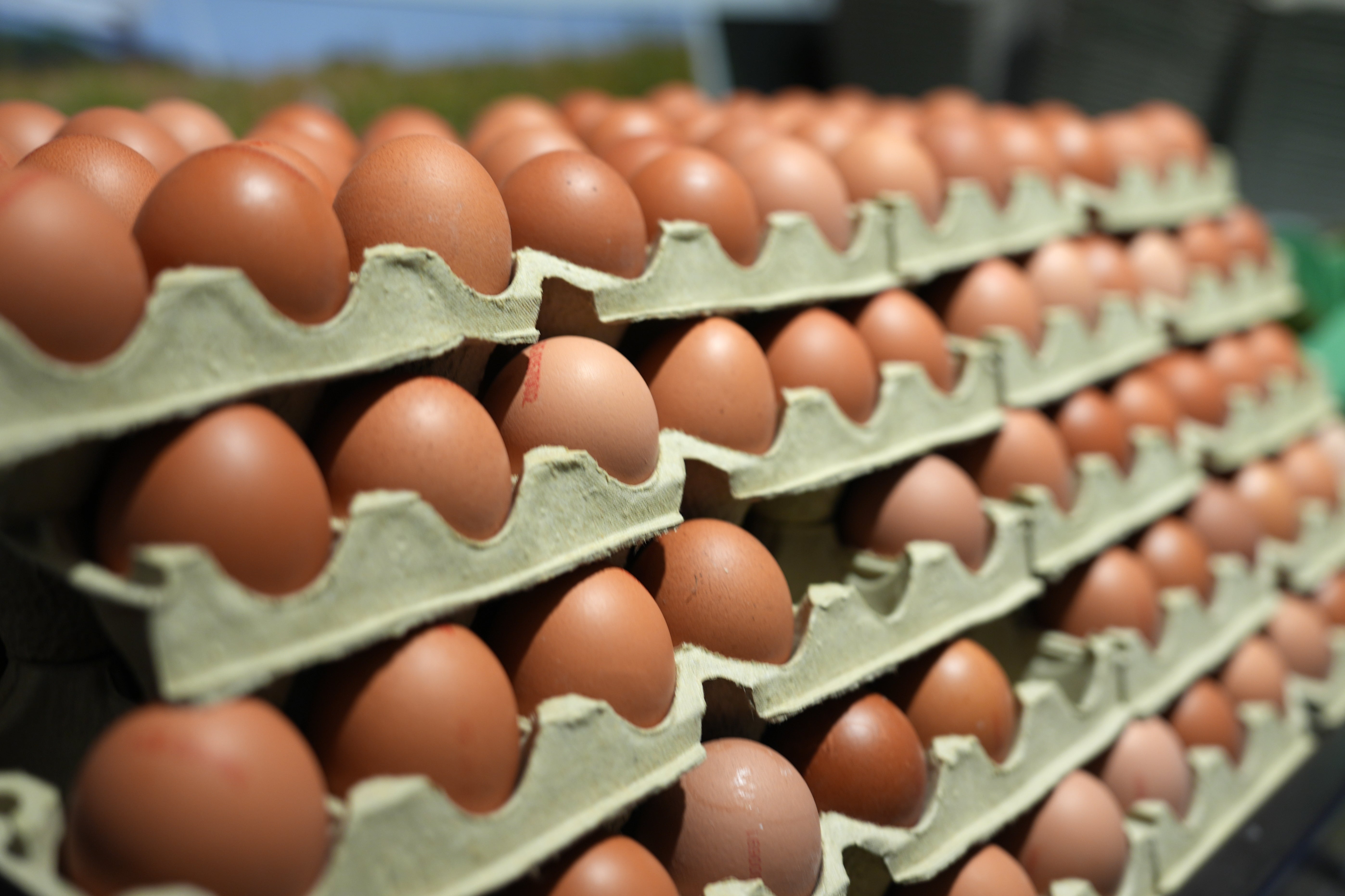 Stabler med eggekartonger fylt med brune egg vist på et utendørsmarked