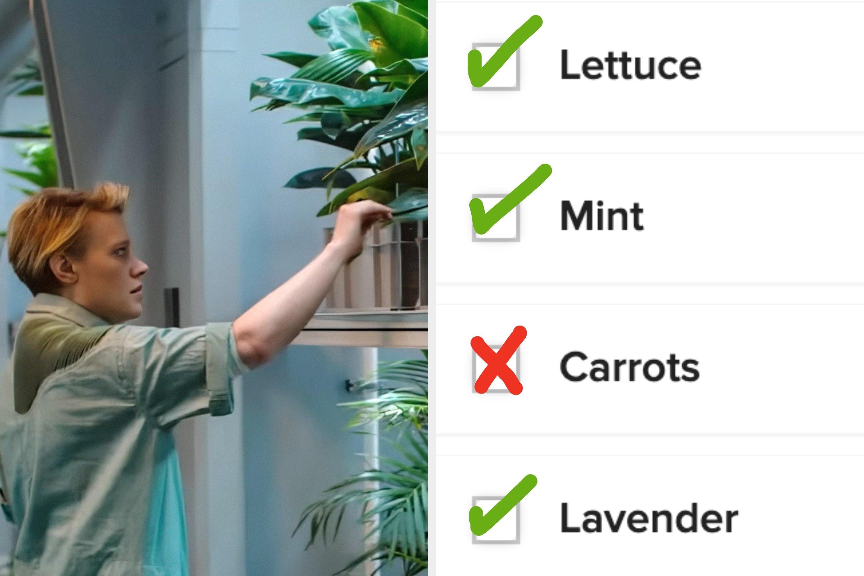 Kate McKinnon in "In The Blink of An Eye" with a vertical garden with various plants; checklist includes lettuce, mint, carrots, lavender