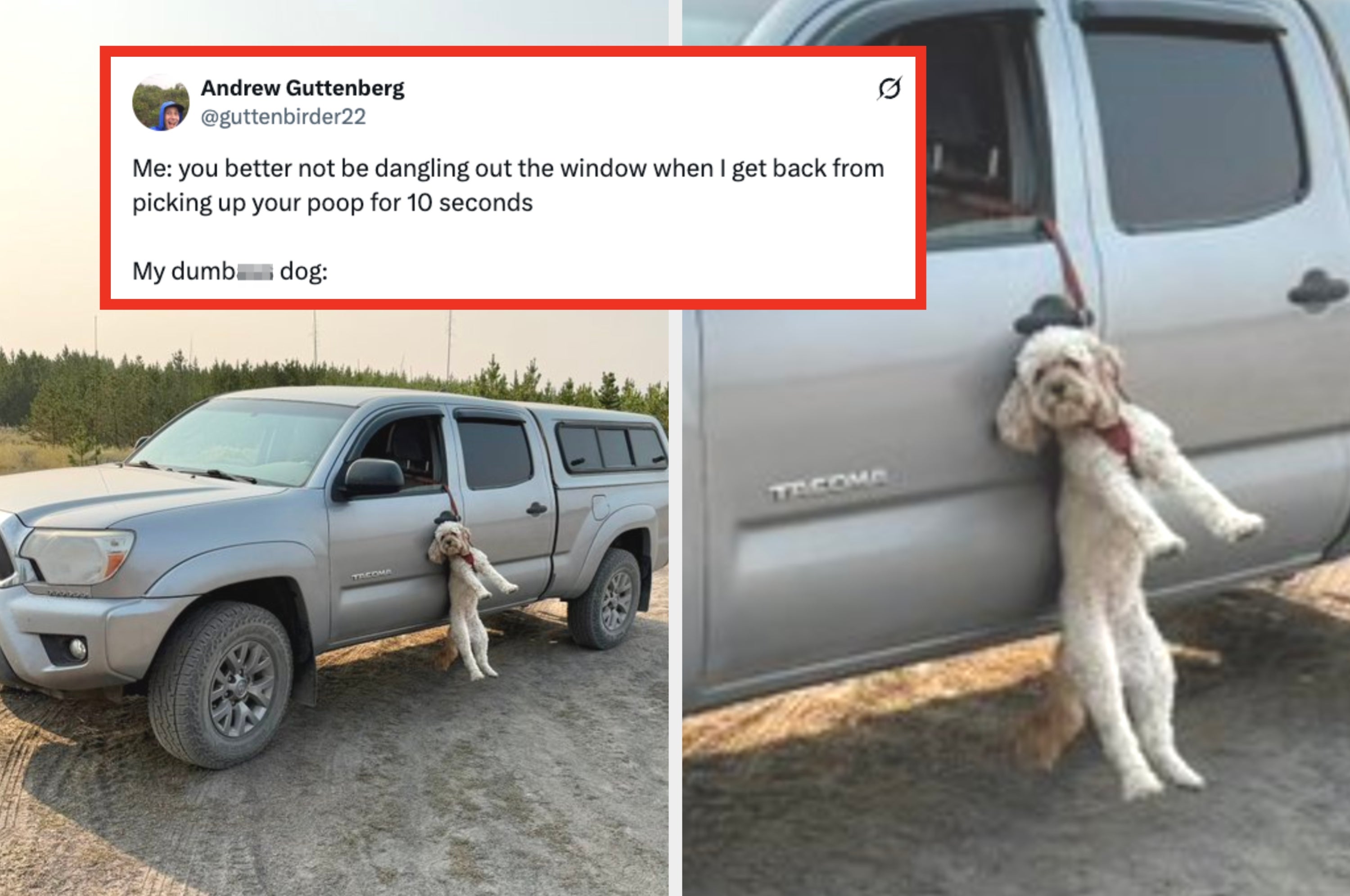 A tweet jokes about a dog hanging out of a truck window. The photo shows a dog stuck outside a truck, humorously illustrating the tweet