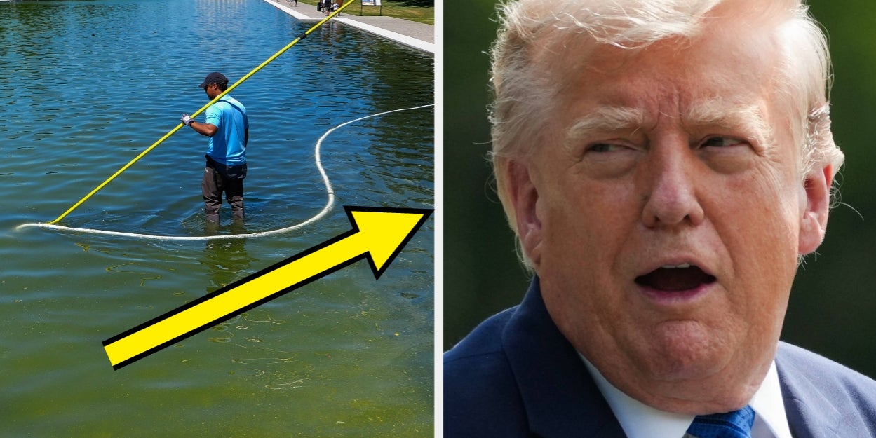 Trump Backtracks On Vandalism Claims