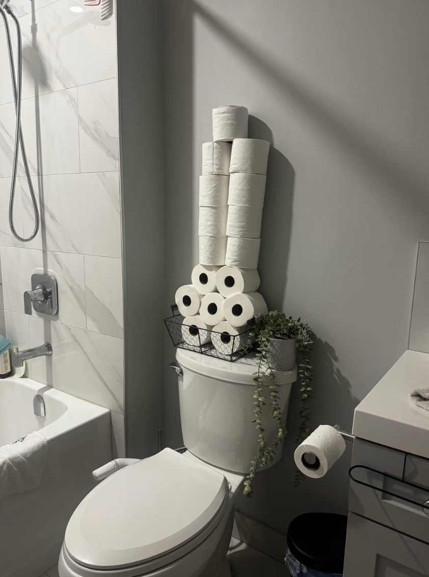 A bathroom with a toilet topped with a stack of toilet paper rolls and a plant, next to a bathtub