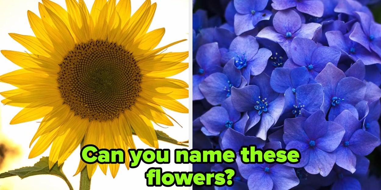 If You Can't Identify More Than 19 Of These Flowers, You're Not A Very Whimsical Person