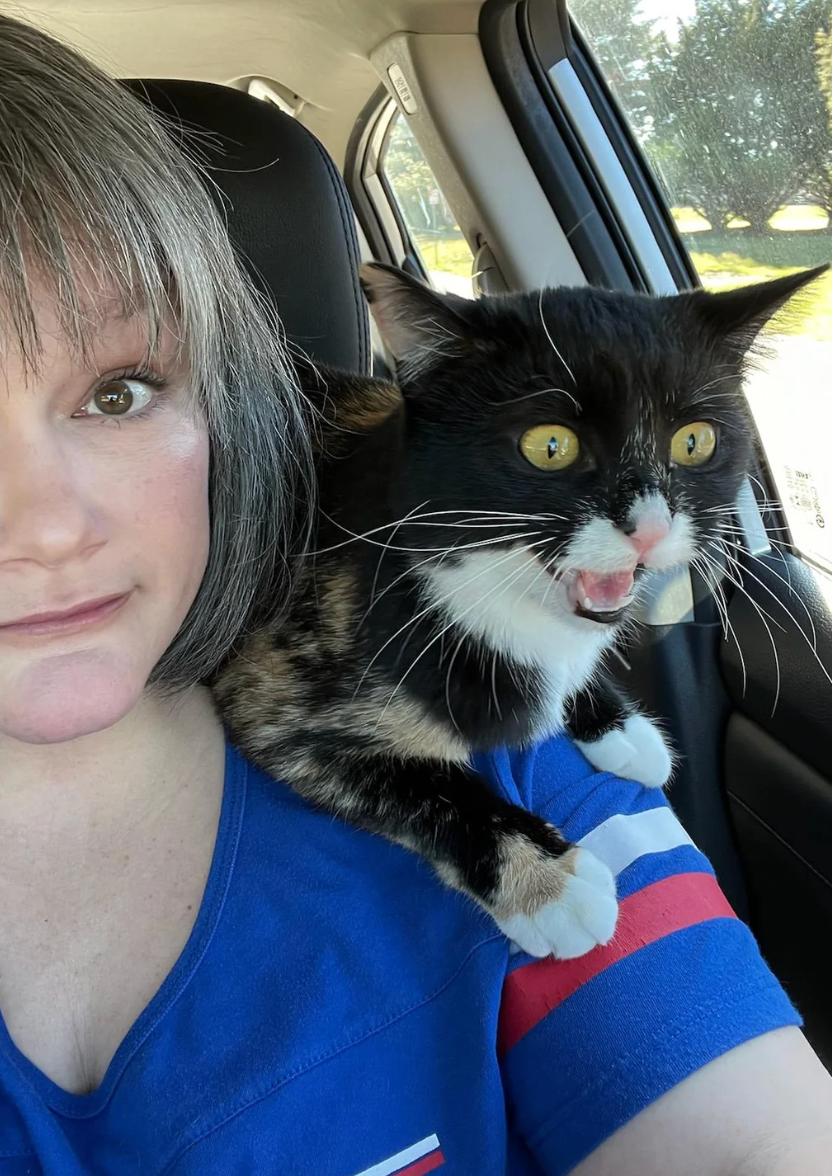 Person in a car with a surprised-looking cat on their shoulder
