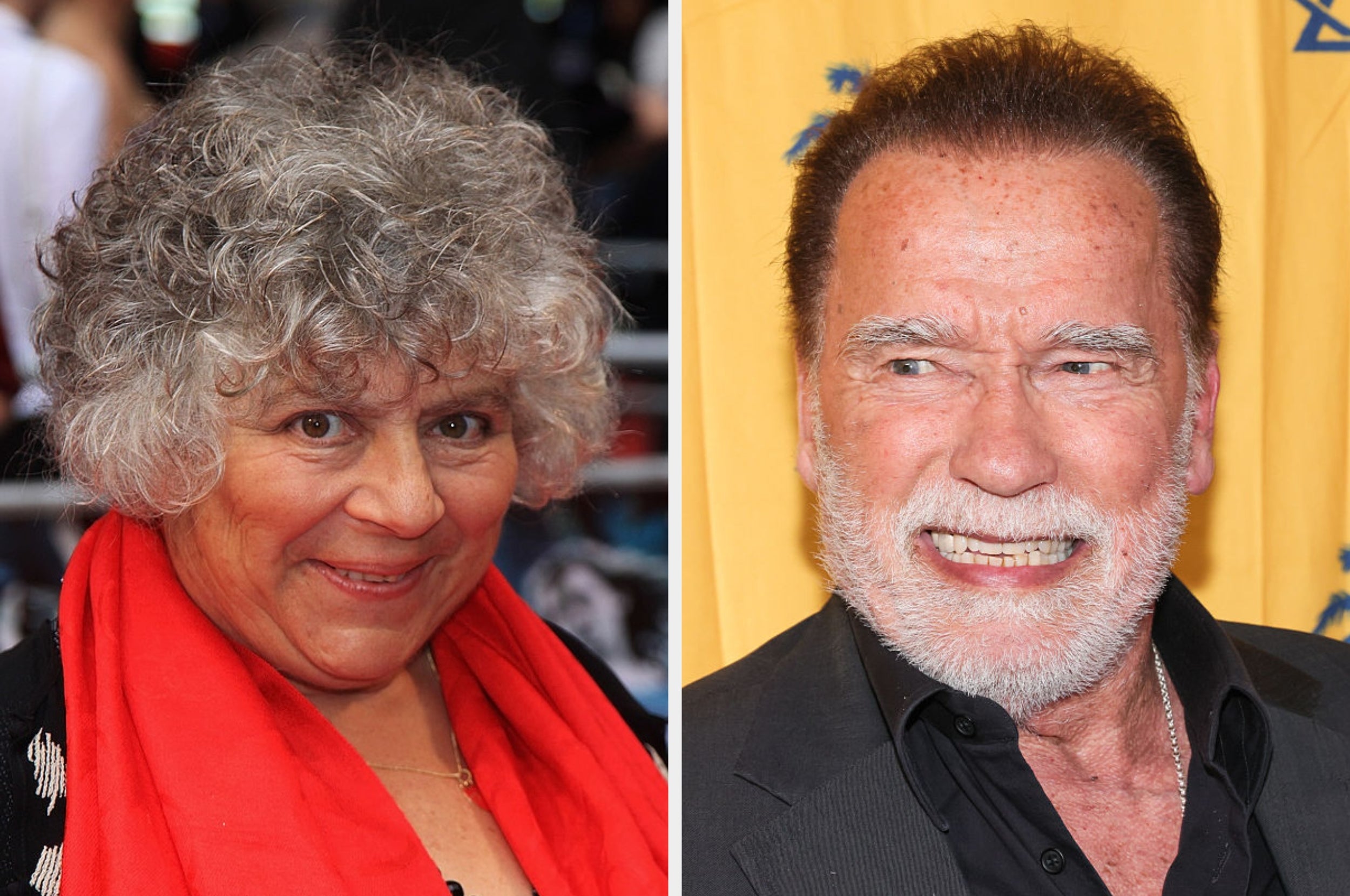 Miriam Margolyes and Arnold Schwarzenegger side by side at separate events