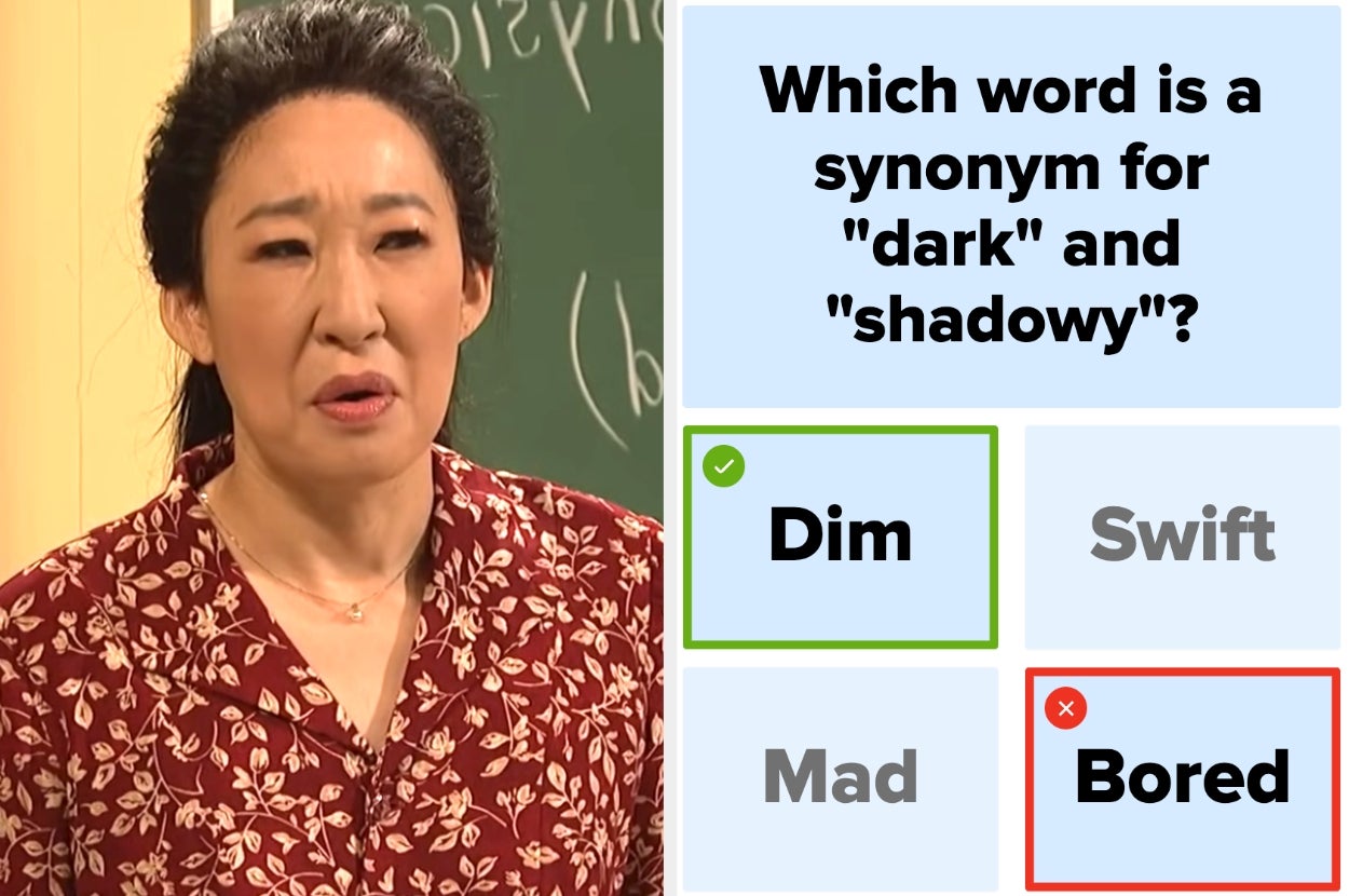 Person in a patterned shirt reacts to a game screen showing a correct answer: "Dim," a synonym for "dark" and "shadowy."