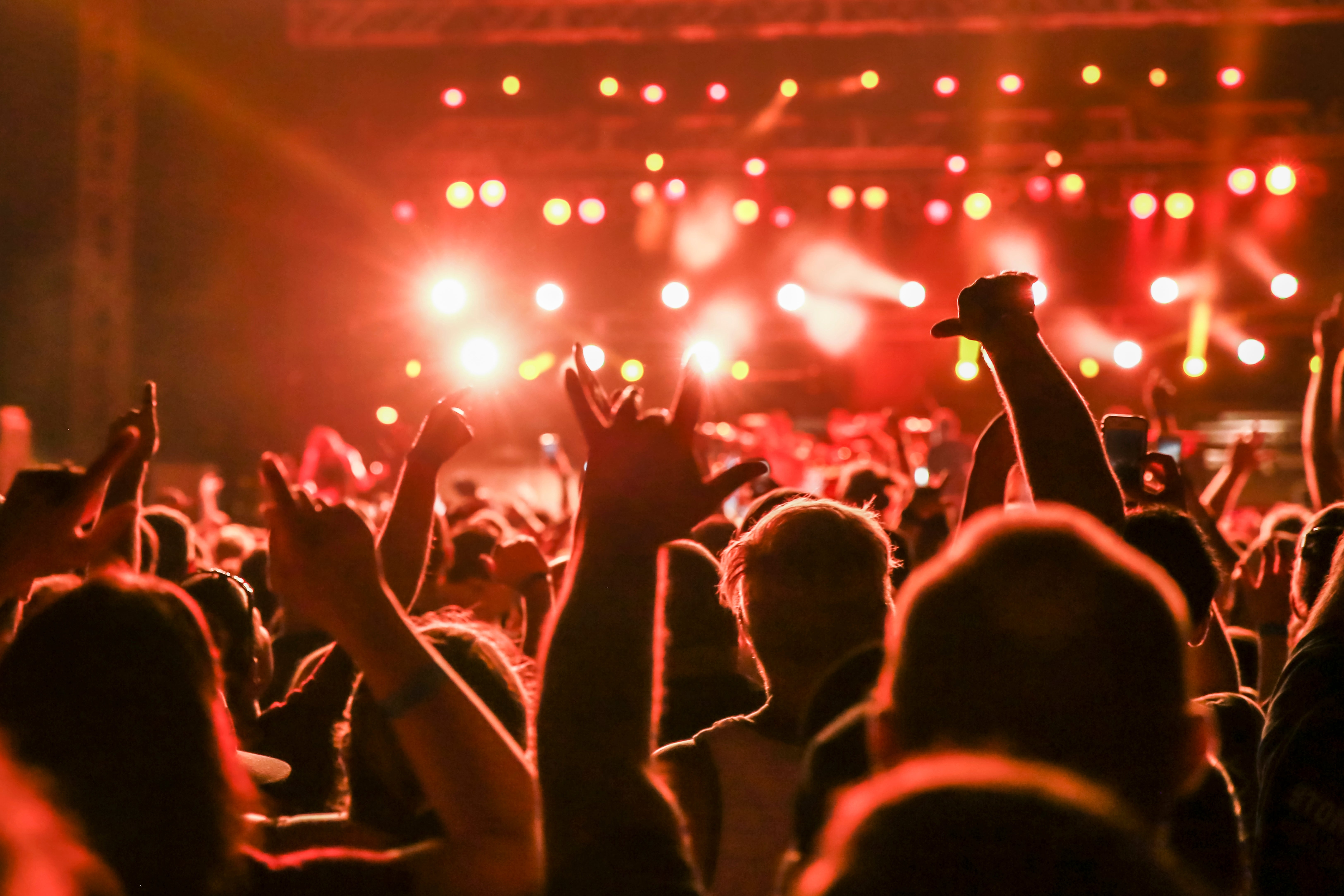 An audience at a live concert